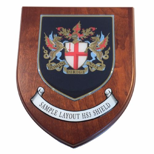 Presentation shield with medium shield shaped centrepiece and scroll.